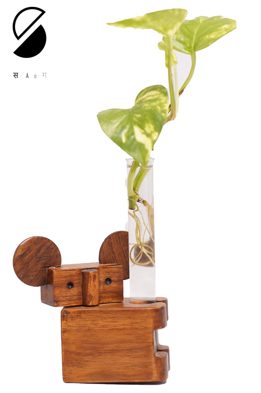 Test Tube Planter Koala