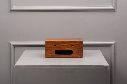 Double Side Tissue Box
