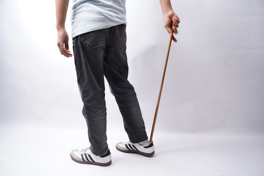 Shoe Horn