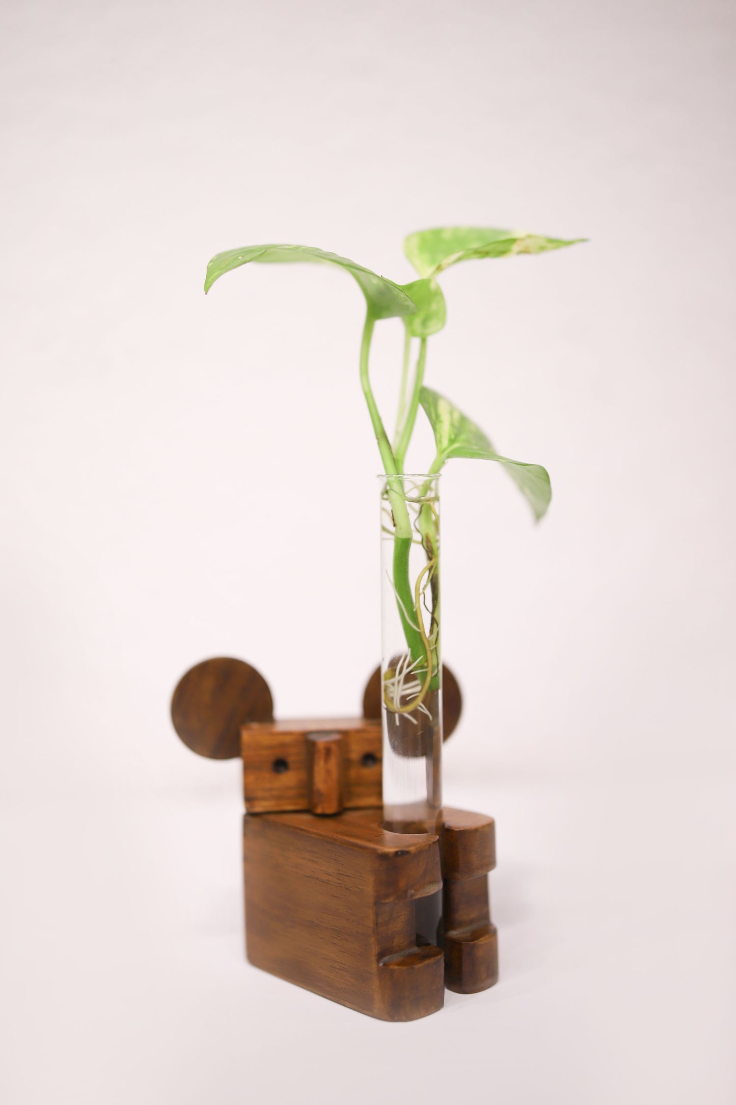 Test Tube Planter Koala