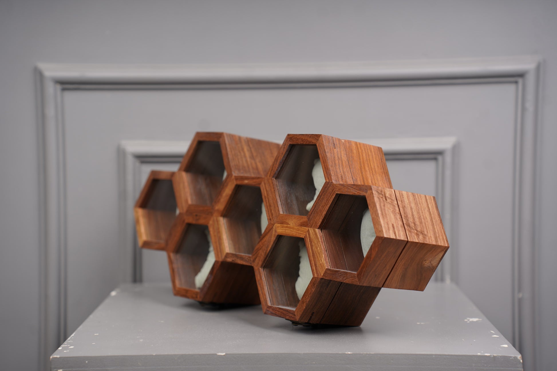 Watch Organizer
