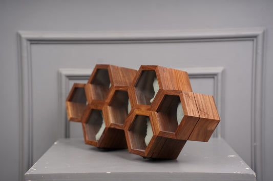 Watch Organizer
