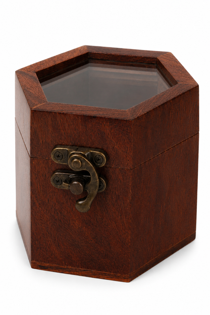Single Watchbox - 4