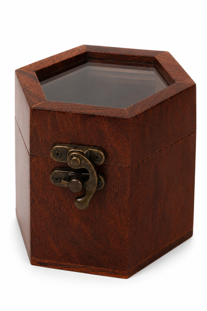 SAAG Single Watchbox — Sagwan teak watch organiser (view 4)